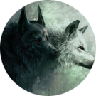 Wolves Blackalpha Avatar